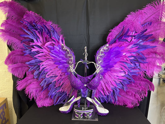 Wing Rental - purple fushia wings